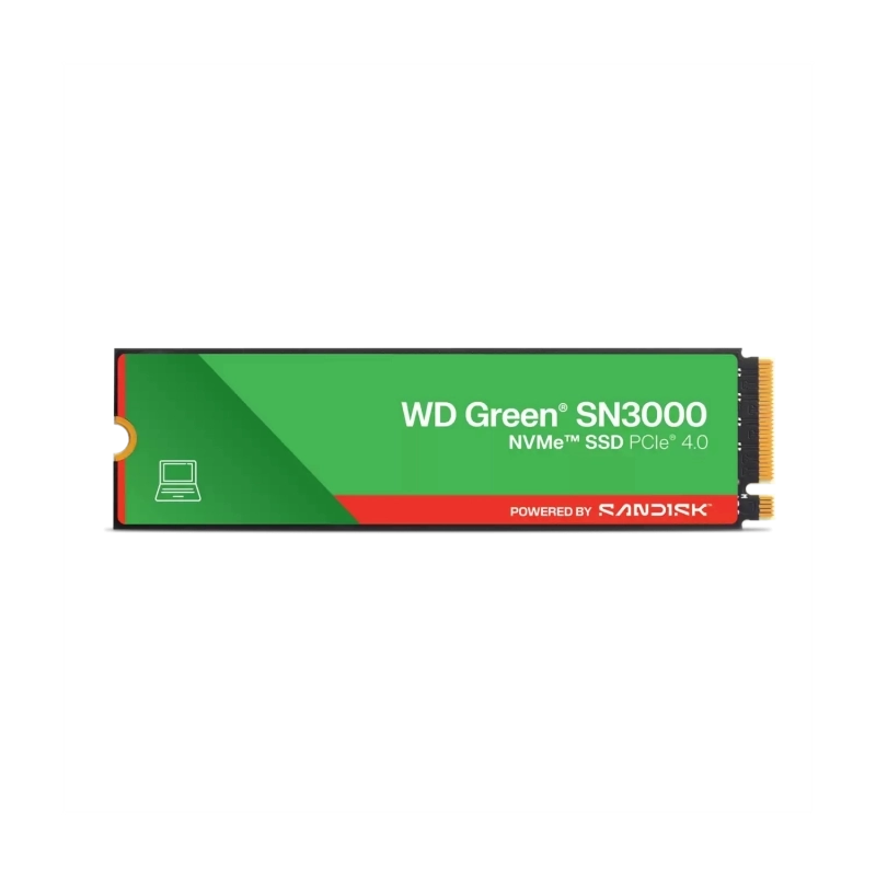 WDS100T4G0E-00CPS0-1